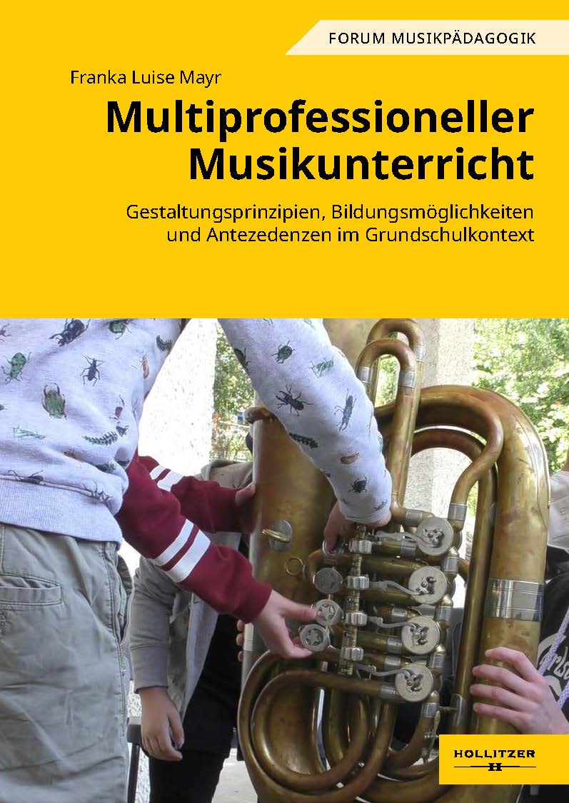 Franka Luise Mayr: Multiprofessioneller Musikunterricht